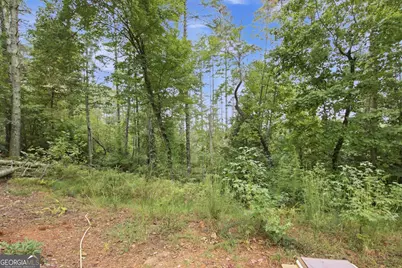 1582 Jennys Cove Road, Cleveland, GA 30528 - Photo 21