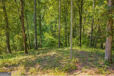 Lot 344 Lower Knoll Court, Talking Rock, GA 30175 - Photo 3