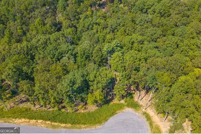 Lot 344 Lower Knoll Court, Talking Rock, GA 30175 - Photo 5