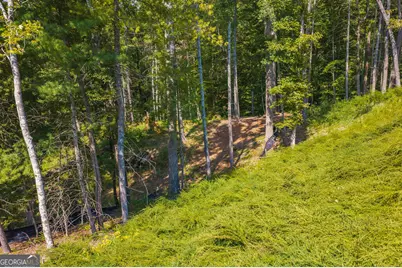 Lot 344 Lower Knoll Court, Talking Rock, GA 30175 - Photo 9