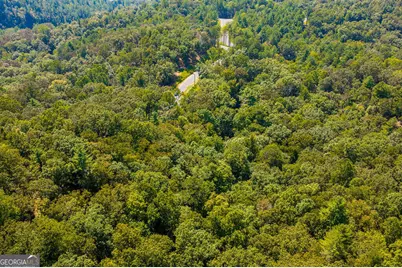 Lot 344 Lower Knoll Court, Talking Rock, GA 30175 - Photo 7