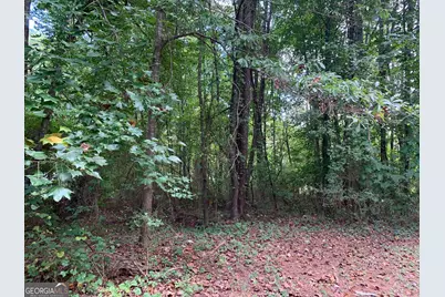 602 McCurdy Road, Villa Rica, GA 30180 - Photo 13