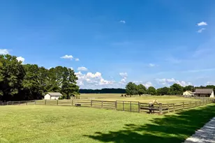 2655 Turner Rd, Williamson, GA 30292 - Photo 35