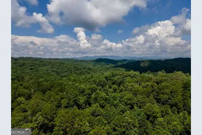 808 Villa Drive, Ellijay, GA 30540 - Photo 39