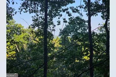 391 Meteor Court #391, Ranger, GA 30734 - Photo 11