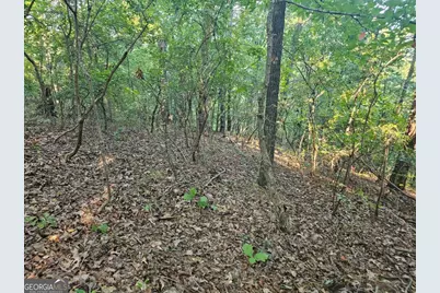 391 Meteor Court #391, Ranger, GA 30734 - Photo 19