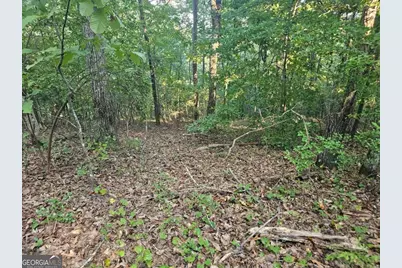 391 Meteor Court #391, Ranger, GA 30734 - Photo 21