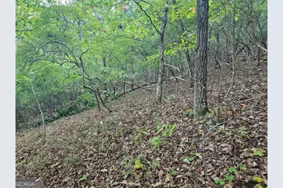 391 Meteor Court #391, Ranger, GA 30734 - Photo 9