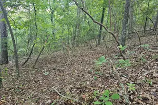 391 Meteor Ct, Ranger, GA 30734 - Photo 1