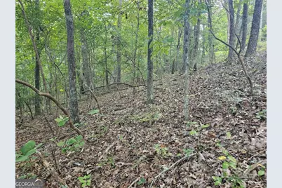 391 Meteor Court #391, Ranger, GA 30734 - Photo 3