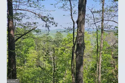 391 Meteor Court #391, Ranger, GA 30734 - Photo 23