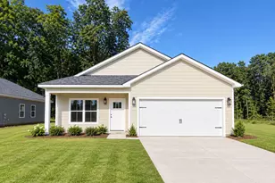 91 Harold Wilson Pkwy, Milner, GA 30257 - Photo 1