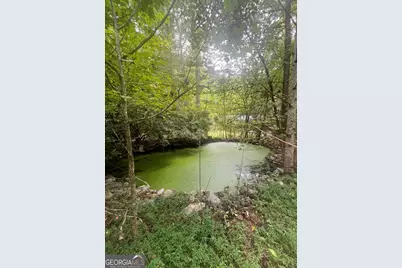 14694 N Hwy 515 N, Ellijay, GA 30536 - Photo 5
