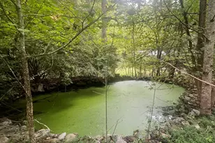 14694 N Hwy 515 N, Ellijay, GA 30536 - Photo 5
