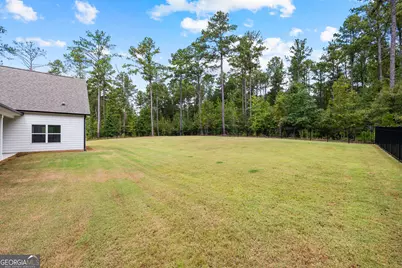 249 Atlantica Drive, Newnan, GA 30263 - Photo 53