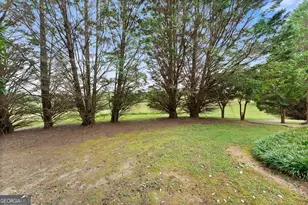 405 Double Bridge Rd, Demorest, GA 30535 - Photo 37