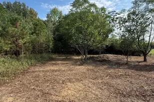 0 S Bartow Rd, Bartow, GA 30413 - Photo 1