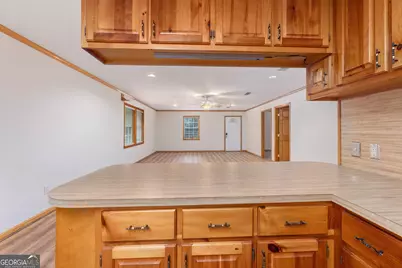 5301 Geneva Highway, Talbotton, GA 31827 - Photo 7