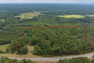 5301 Geneva Hwy, Talbotton, GA 31827 - Photo 39