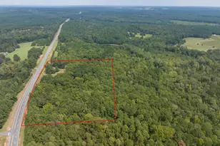 5301 Geneva Hwy, Talbotton, GA 31827 - Photo 29