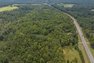 5301 Geneva Hwy, Talbotton, GA 31827 - Photo 21