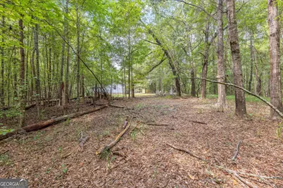 5301 Geneva Highway, Talbotton, GA 31827 - Photo 37