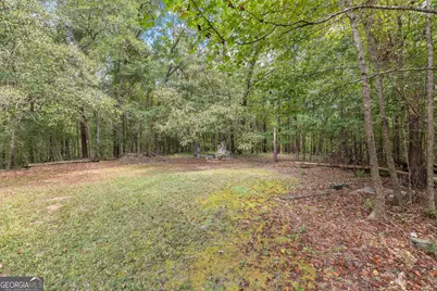 5301 Geneva Highway, Talbotton, GA 31827 - Photo 35