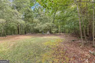5301 Geneva Hwy, Talbotton, GA 31827 - Photo 35