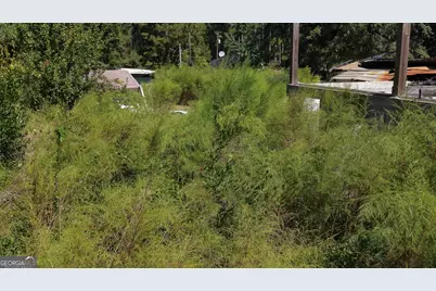 89 Riverview Road, Soperton, GA 30457 - Photo 21