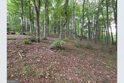 150 Trail Tree Drive #3 &amp; 4A, Blairsville, GA 30512 - Photo 77