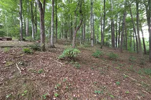 150 Trail Tree Dr, Blairsville, GA 30512 - Photo 77