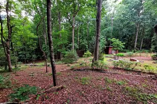 150 Trail Tree Dr, Blairsville, GA 30512 - Photo 75