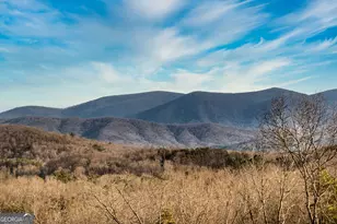 49 Chestnut Overlook, Blue Ridge, GA 30513 - Photo 15