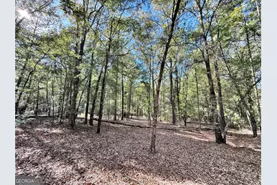 1 Kitchens Road, Macon, GA 31217 - Photo 7