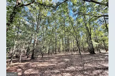 1 Kitchens Road, Macon, GA 31217 - Photo 5