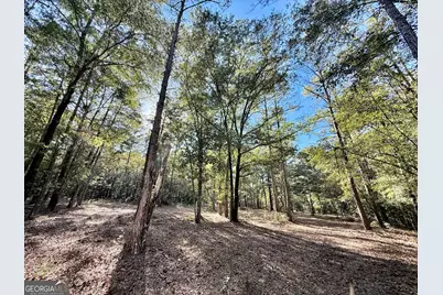 1 Kitchens Road, Macon, GA 31217 - Photo 25