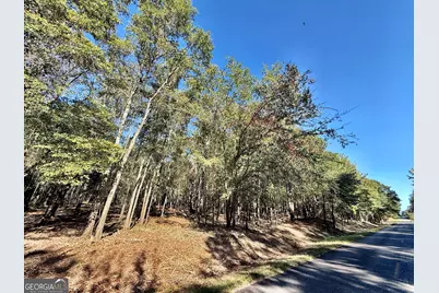 1 Kitchens Road, Macon, GA 31217 - Photo 29