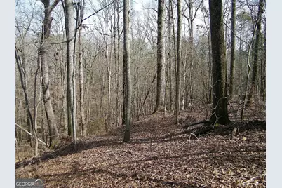 Lot 25 Benjamin Brown Court, Elberton, GA 30635 - Photo 7