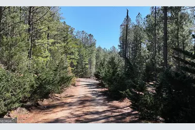 Lot 25 Benjamin Brown Court, Elberton, GA 30635 - Photo 11