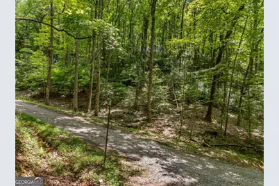 0 Jagger Run, Blue Ridge, GA 30513 - Photo 1