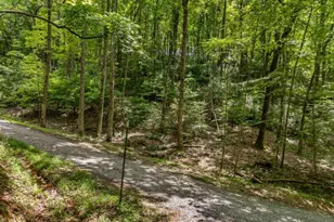 0 Jagger Run, Blue Ridge, GA 30513 - Photo 1