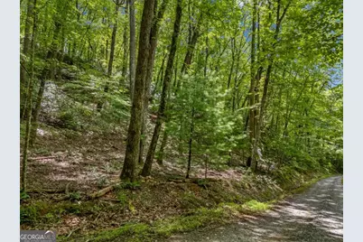 0 Jagger Run, Blue Ridge, GA 30513 - Photo 3