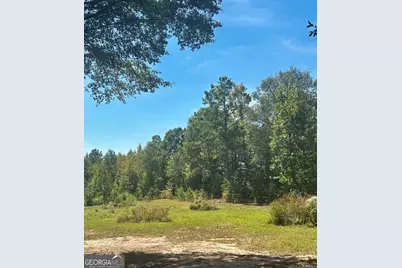 0 Newnan Road, Brooks, GA 30205 - Photo 3