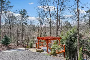 62 Cannon Ct, Ellijay, GA 30540 - Photo 47