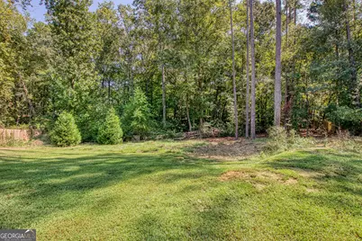 50 Happy Valley Estates Drive, Newnan, GA 30263 - Photo 37