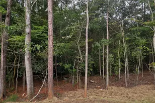 191 Laura Ln, Commerce, GA 30529 - Photo 27