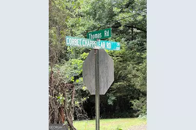 881 Thomas Road, Martin, GA 30557 - Photo 11