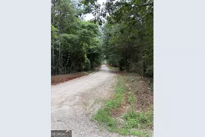 881 Thomas Road, Martin, GA 30557 - Photo 9
