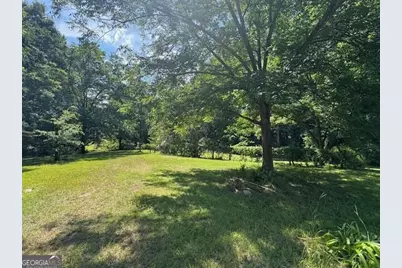 904 Eastside School Road, Senoia, GA 30276 - Photo 3