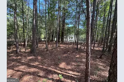 697 Donahoo Road SE, Silver Creek, GA 30173 - Photo 9